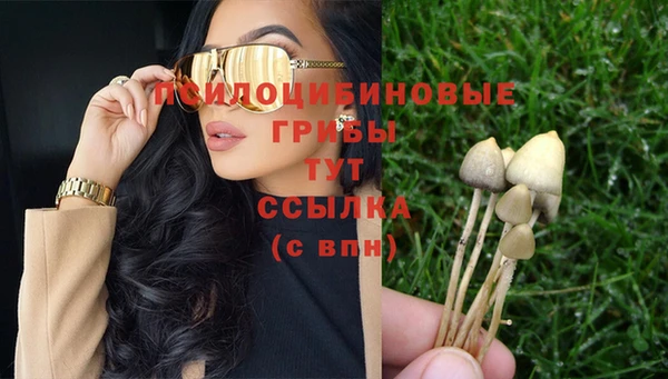 стаф Володарск