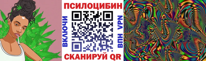 Галлюциногенные грибы Psilocybe  Купить закладки  Тарко-Сале 